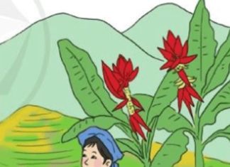 Thi tốt nghiệp môn Ngữ văn: Lưu ý thêm lệnh phụ trong tác phẩm thơ Thi tốt nghiệp môn Ngữ văn: Lưu ý thêm lệnh phụ trong tác phẩm thơ