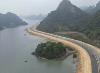 Vì sao rừng ngập mặn ven đường bao biển Quảng Ninh 'hồi sinh' thần kỳ?