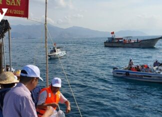Hàng chục triệu con giống thủy sản được thả về môi trường tự nhiên