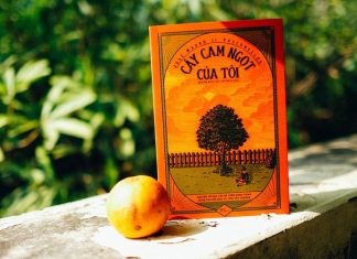 Vẻ đẹp của các tác phẩm văn học thiếu nhi Vẻ đẹp của các tác phẩm văn học thiếu nhi