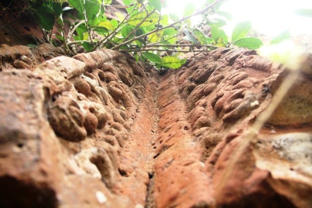 Nhiều n&eacute;t hoa văn tinh xảo