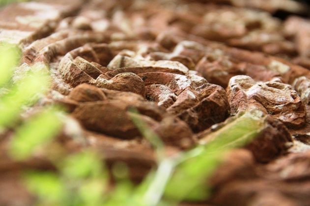 Hoa văn trang tr&iacute; tr&ecirc;n c&aacute;c trụ ốp tường v&agrave; c&aacute;c mảng tường l&agrave; c&aacute;c dải hoa văn thảo mộc cuộn th&agrave;nh những chữ S nối tiếp nhau, xen kẽ với hoa văn h&igrave;nh thoi.