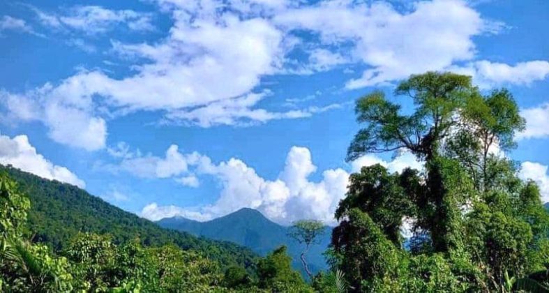 Điều kiện tự nhi&ecirc;n thuận lợi, kh&iacute; hậu &ocirc;n h&ograve;a đ&atilde; tạo n&ecirc;n những khu rừng nguy&ecirc;n sinh xanh tốt với hệ động, thực vật phong ph&uacute;, đa dạng