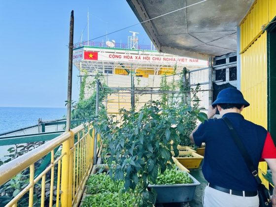 Vườn rau c&aacute;c chiến sỹ trồng tại Nh&agrave; gi&agrave;n DK1 Ph&uacute;c Tần xanh mướt.