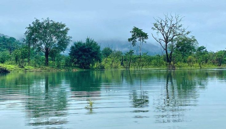 Trong l&ograve;ng hồ c&oacute; 35 đảo lớn nhỏ thuộc l&acirc;m phận của Vườn Quốc gia Vũ Quang quản l&yacute;, bảo vệ