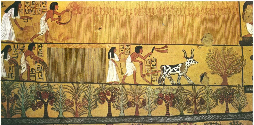 Những phát minh đỉnh cao thời Ai Cập cổ đại thay đổi cả thế giới