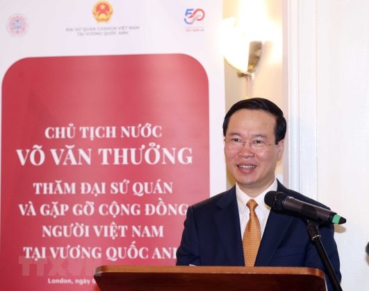 4 min 8 531x420 - Chủ tịch nước gặp mặt cán bộ ĐSQ và cộng đồng người Việt Nam tại Anh