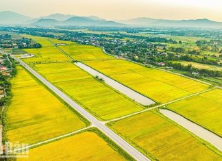 Mùa vàng ở vùng "chảo lửa, túi mưa"