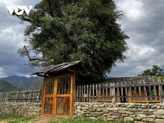 Những vi&ecirc;n đ&aacute; cuội cũng được kết th&agrave;nh tường r&agrave;o tại nhiều bản, khu, điểm trải nghiệm kh&aacute;c ở Ngọc Chiến...