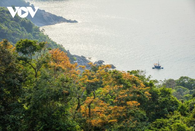 Sắc đỏ trải d&agrave;i xuống tận ghềnh đ&aacute;