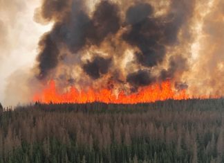 Video: Alberta cầu cứu quân đội Canada