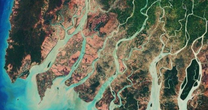 Bảo vệ các 'động mạch' của trái đất