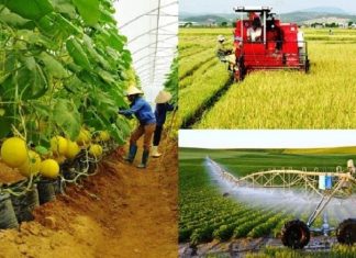 Để các hợp tác xã nông nghiệp phát triển Để các hợp tác xã nông nghiệp phát triển