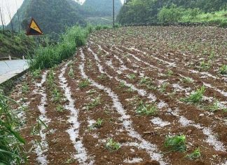 Xuất hiện mưa đá tại một số xã vùng cao ở tỉnh Cao Bằng