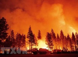 Xác định mối liên hệ về lượng giữa khủng hoảng khí hậu và cháy rừng