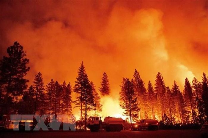 Chay rung o Foresthill bang California My - Xác định mối liên hệ về lượng giữa khủng hoảng khí hậu và cháy rừng