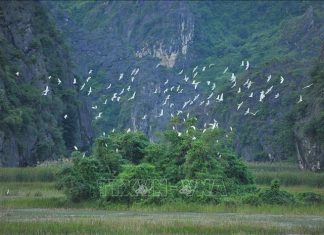 Từ thỏa thuận đến hành động