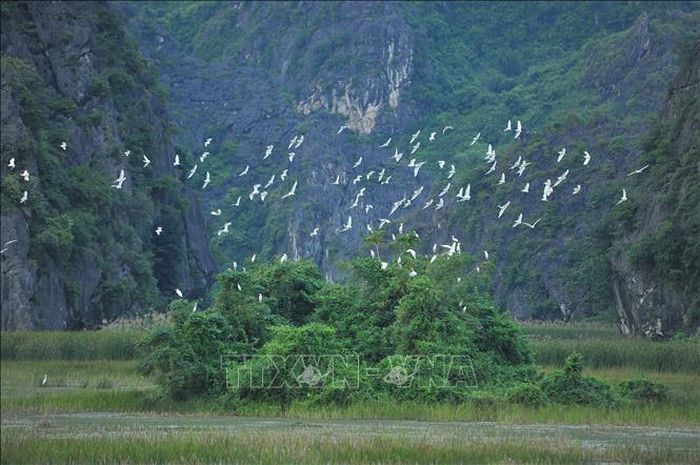 Từ thỏa thuận đến hành động