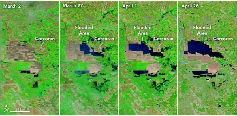 Hình ảnh vệ tinh của NASA cho thấy một khu vực lũ lụt mở rộng trong lưu vực Hồ Tulare.  Ảnh: NASA.