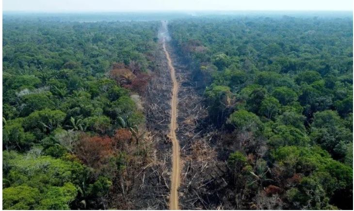 Một khu vực rừng bị chặt phá dọc đường BR-230, xa lộ xuyên Amazon, ở Humaitá, bang Amazonas, Brazil. 