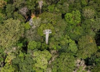 Brazil xây dựng công trình phun khí CO2 vào rừng nhiệt đới Amazon