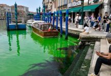 Đã làm rõ tại sao nước kênh ở Venice chuyển màu xanh huỳnh quang