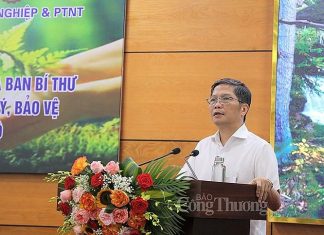 Cần có Nghị quyết mới về bảo vệ rừng và phát triển lâm nghiệp bền vững