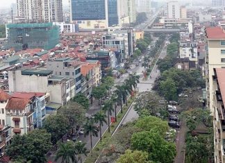 Cây xanh đô thị: Cần lựa chọn sao cho phù hợp Cây xanh đô thị: Cần lựa chọn sao cho phù hợp