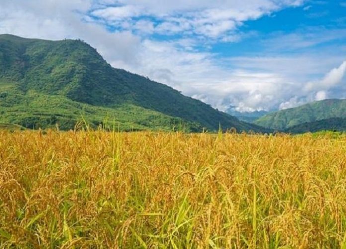 Quy trình mới về công nhận hộ thoát nghèo, hộ thoát cận nghèo Quy trình mới về công nhận hộ thoát nghèo, hộ thoát cận nghèo