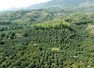 Sàn giao dịch tín chỉ carbon Việt Nam sẽ vận hành vào năm 2028