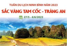 [Infographics] Tuần Du lịch Ninh Bình 2023: Sắc vàng Tam Cốc-Tràng An