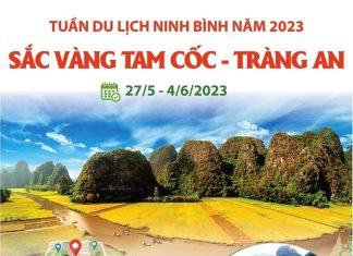 [Infographics] Tuần Du lịch Ninh Bình 2023: Sắc vàng Tam Cốc-Tràng An
