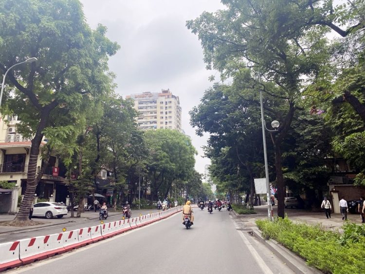 Tuyến phố Huỳnh Thúc Kháng nơi trồng nhiều cây Phượng, Xà Cừ lúc nào cũng cho bóng mát quanh năm.