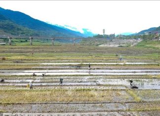 Mùa nước cạn ở Mường Lay