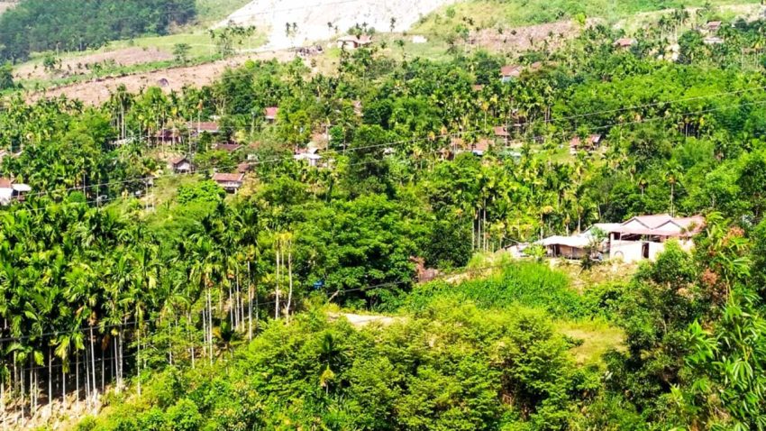 Khung cảnh đẹp bình yên ven đường. 2