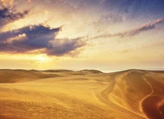 Những sự thật thú vị về sa mạc Sahara