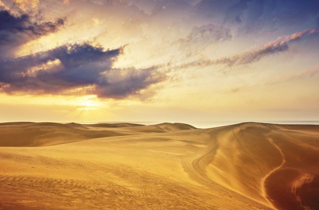 Những sự thật th&uacute; vị về sa mạc Sahara