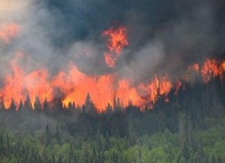 Canada ghi nhận lượng khí CO2 cao kỷ lục do cháy rừng từ đầu năm
