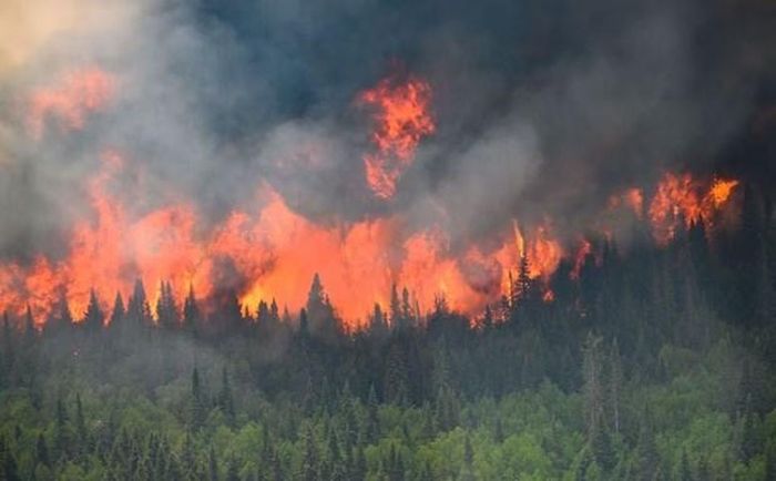Canada ghi nhận lượng khí CO2 cao kỷ lục do cháy rừng từ đầu năm