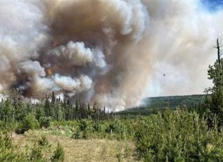 Cháy rừng ở Kazakhstan: Nhiều người thiệt mạng và mất tích