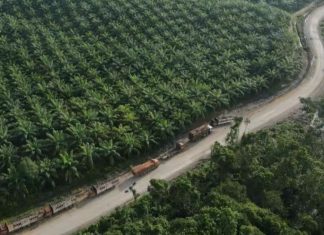 Toàn Đông Nam Á bật cảnh báo đối phó với El Nino