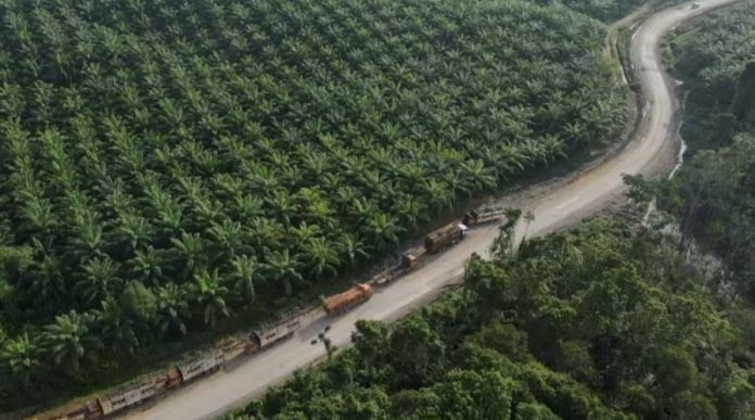 Toàn Đông Nam Á bật cảnh báo đối phó với El Nino