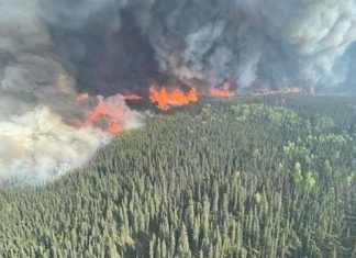 Mỹ chia sẻ dữ liệu vệ tinh hỗ trợ Canada phát hiện cháy rừng