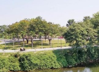 Huế đã xanh và đẹp Huế đã xanh và đẹp