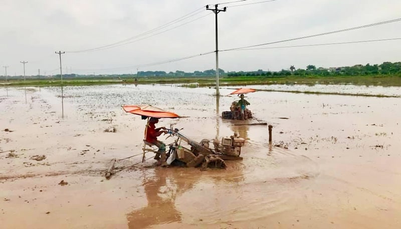 Làm đất chuẩn bị gieo cấy vụ lúa mùa tại xã Đốc Tín (huyện Mỹ Đức).