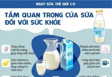 Ngày Sữa Thế giới 1/6: Tầm quan trọng của sữa đối với sức khỏe
