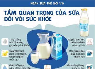 Ngày Sữa Thế giới 1/6: Tầm quan trọng của sữa đối với sức khỏe