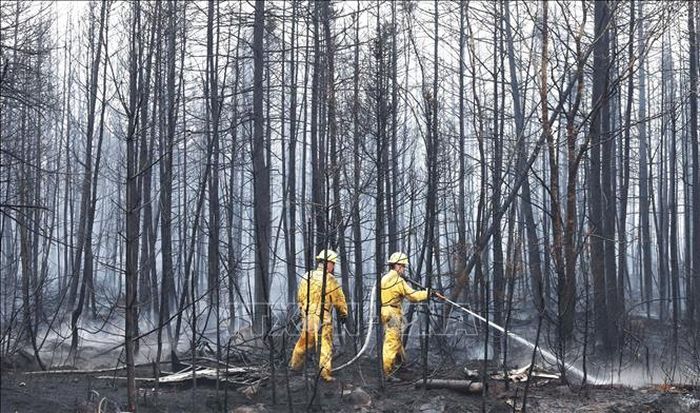 Nhan vien cuu hoa no luc khong che min - Hàng trăm lính cứu hỏa từ EU tham gia chữa cháy rừng tại Canada