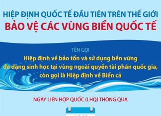 Thông qua Hiệp định về Biển cả nhằm bảo vệ các vùng biển quốc tế