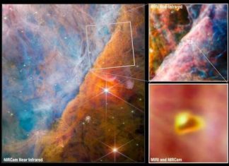NASA tìm ra 'dấu hiệu sự sống' trên vật thể thấy được bằng mắt thường